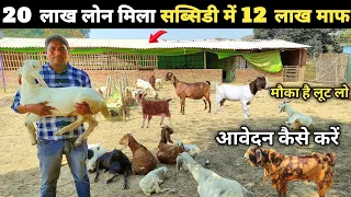 बकरी पालन में लाखों की सब्सिडी सरकार दे रही है | Goat farm subsidy scheme | bakri palan subsidy