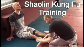 9 Months of Kung Fu Training in China