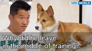 It's a problem that can't be solved easily [Dogs are incredible : EP.142-2] | KBS WORLD TV 221004