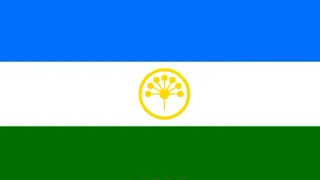 как менялся флаг Башкортостана