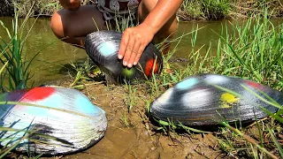 Sparkling mutated giant clams, the pearls nurtured inside emit a charming aura, beautiful and noble