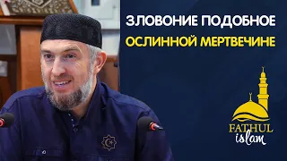 Зловоние подобное ослинной мертвечине / Абдуллахаджи Хидирбеков /Фатхуль Ислам