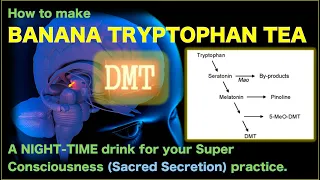 BANANA TRYPTOPHAN TEA for **DMT Pathway** - Assist the SACRED SECRETION #dmt #tryptophan #bananatea