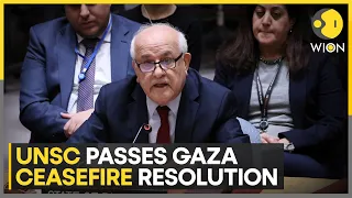 Israel war: UN Security council votes to demand immediate ceasefire in Gaza | WION