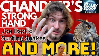 Chandler's Cobra Bite, Crocodiles Save Dog, Joe Exotic, & Surfing Snakes!| The Scaley Scoop Ep. 11