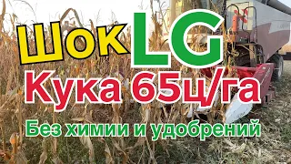 Кукуруза!Убираем опытные участки LG #notill