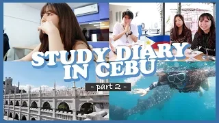 eng) 🇵🇭DIARY IN CEBU PT.2 พาไปเรียนในคลาส, ว่ายน้ำกับฉลามวาฬ, เพื่อนใหม่เพียบ! | Babyjingko