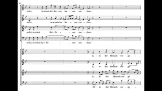 Bach: Singet dem Herrn - Harnoncourt