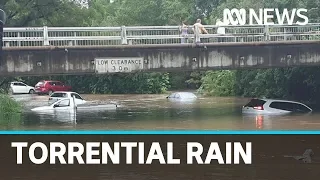 Floods and rescues in Queensland and NSW, more rain forecast | ABC News