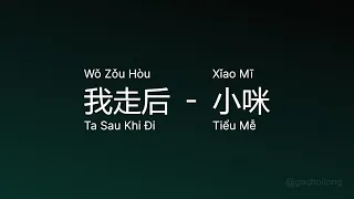 我走后 Ta Sau Khi Đi (Wǒ Zǒu Hòu) - 小咪 Tiểu Mễ (Xǐao Mī) vietsub engsub lyric #gcthtt