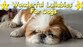 Super Relaxing Sleep Music For Shih Tzu Dogs Puppies ♫ Calm Relax Your Pet ♥