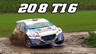 Peugeot 208 T16 R5 - in Belgian rallies (Jumps, drifts & sound)