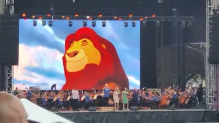 ESO - Circle of Life - Lion King