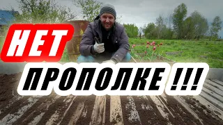 МОРКОВЬ БУДЕТ ВКУСНОЙ! Простой посев моркови. Простой рецепт плова с сочной морковью. Влог.