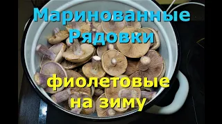 Маринованные Рядовки Фиолетовые на зиму