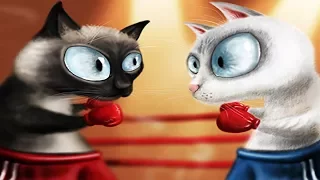 БИТВА КОТОВ | CAT FIGHT