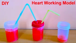 heart pump working model for science exhibition project | DIY at home | | howtofunda