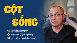 Cột Sống