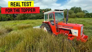 TOPPING A FOREST OF RUSHES | IH 674 TOPPING