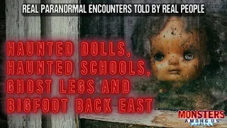 SN 16 EP 18 - HAUNTED DOLLS, HAUNTED SCHOOLS, GHOST LEGS AND BIGFOOT BACK EAST - TRUE SPOOKY STORIES