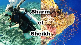 Sharm el-Sheikh - Egypt
