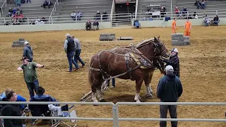 Heavyweight Horsepull Bluegrass Horsepulling Association