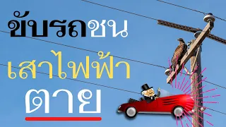 ขับรถชนเสาไฟฟ้าตาย ยังต้องรับผิดชอบไหม ?