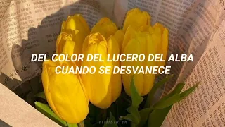 yellow tulips; natasha koroleva (sub. español)