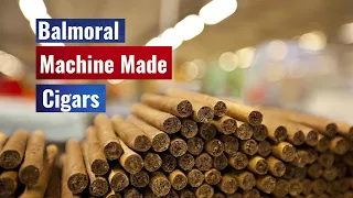 Hans Rijfkogel: Balmoral Machinemade Cigars