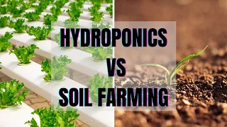 6 Major Differences between Hydroponics and Soil Farming☘|Hydroponics Vs Soil Farming |Soil Vs Hydro