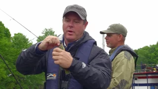 Lake Barkley Bluegill and Redear