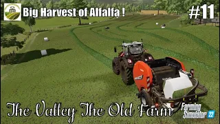 Big Harvest of ALFALFA | #11 THE VALLEY THE OLD FARM | FS22 | PS5/HD