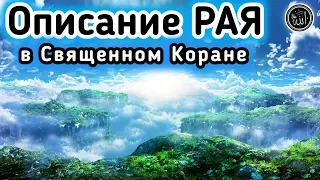 ✔️ Священный КОРАН,Сура «Аль-Инсан» (Человек)