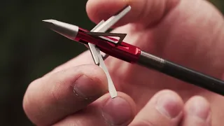 Bloodsport Archery: Nitefall Broadhead