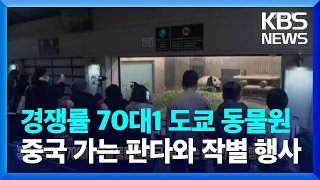 [글로벌K] 경쟁률 70대1…도쿄 동물원 중국 돌아가는 판다와 작별 행사 / KBS  2023.02.21.