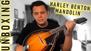 Is this cheap Mandolin any good? | Harley Benton HBMA-50 VS | Unboxing & Review