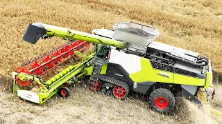 Claas Lexion 8900 harvesting Canola | World's biggest Combine | Harvest Season 2022 in Denmark