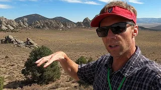 Geology of the southwestern edge of the Almo pluton at City of Rocks, southern Idaho