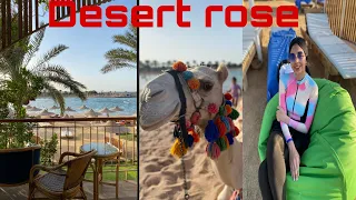 فندق الغردقه ديزرت روز 🌹حلال فيه الفلوس😀🤑(desert rose hurghada)