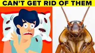 Scientists Explain Why You Can't Get Rid of Cockroaches