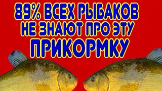 89% рыбаков не знают про такую прикормку для зимней рыбалки!?