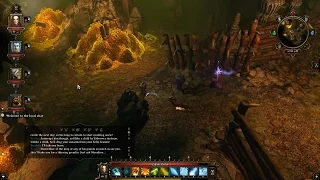 Divinity Original Sin - Luculla Forest Quests - TROLL KING'S BOUNTY GUIDE - Complete Walkthrough