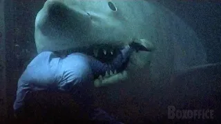 Shark attacks one last time | Jaws 3-D | CLIP