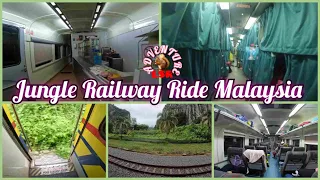 Jungle Railway Ride Malaysia