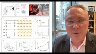 IntLex 64, 03/12/2024. Игорь Ефимов: наука и то, кто и где ее делает