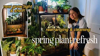 SPRING REFRESH! ✨ rearranging plants, adding a grow light & new shelf, & planty updates