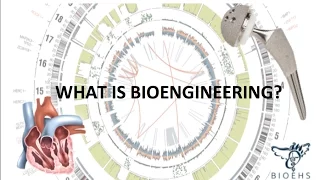 What is Bioengineering? | BioEHS