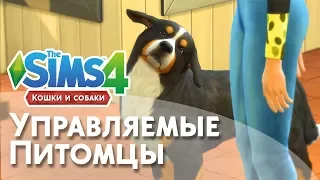 УПРАВЛЯЕМЫЕ ПИТОМЦЫ / МОД / The sims 4
