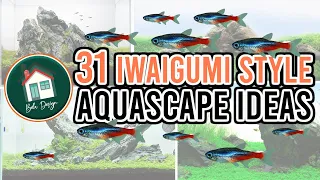 31 Amazing Aquascape Iwagumi Style Ideas