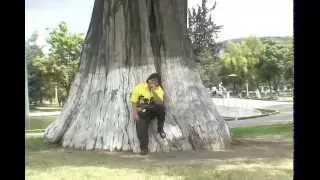 EL ARBOLITO GRUPO NECTAR INTERNACIONAL